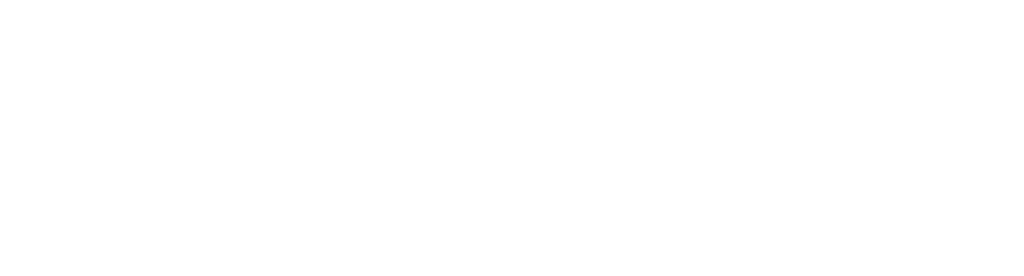 PlaneX | Planung, Sanierung und Effizienzhäuser | Logo